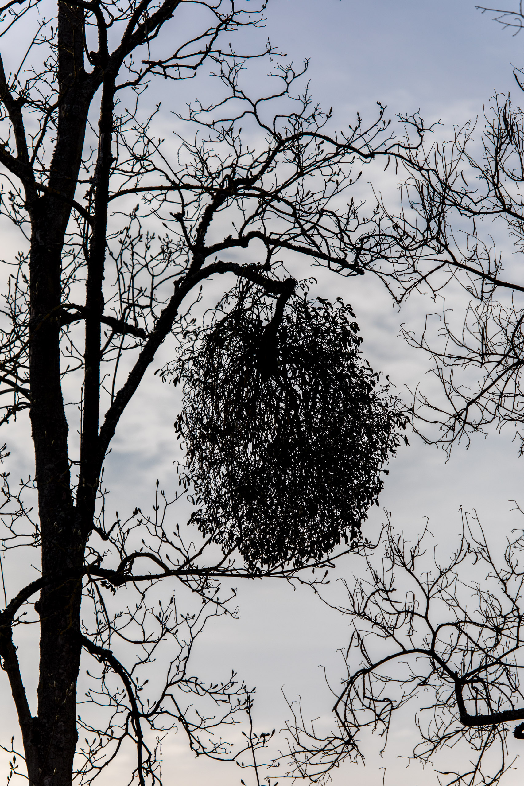 20180414185658 RD4 0633